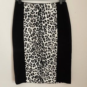 WHBM pencil skirt  snow leopard. Super sexy! Size 6